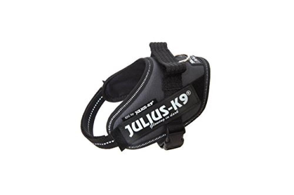 (TG. Mini-Mini) JULIUS K-9 Pettorina IDC, Taglia: Mini-Mini, Colore: Antracite -