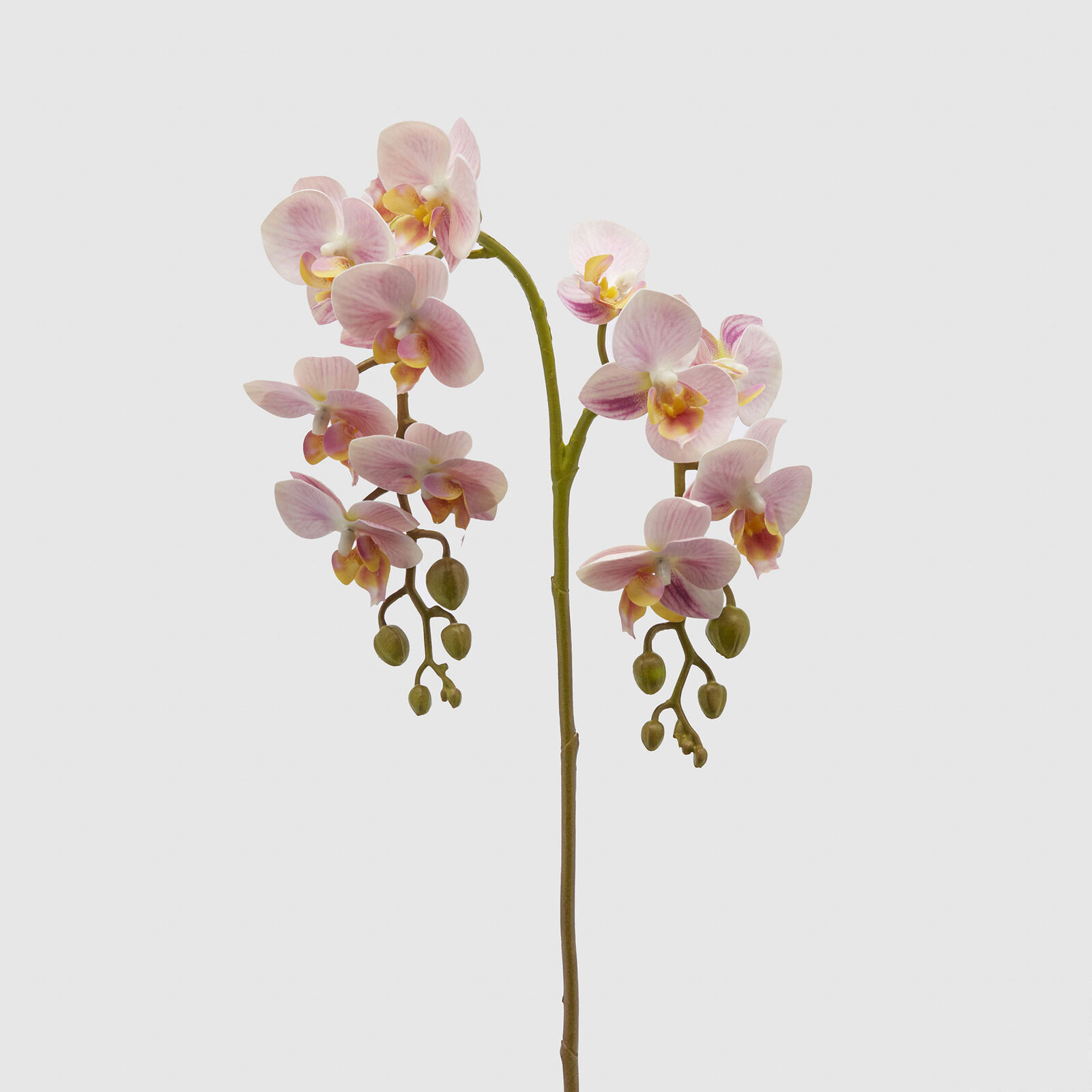 EDG - Enzo de Gasperi Pianta artificiale con rametto di Orchidea Olis   Plastica