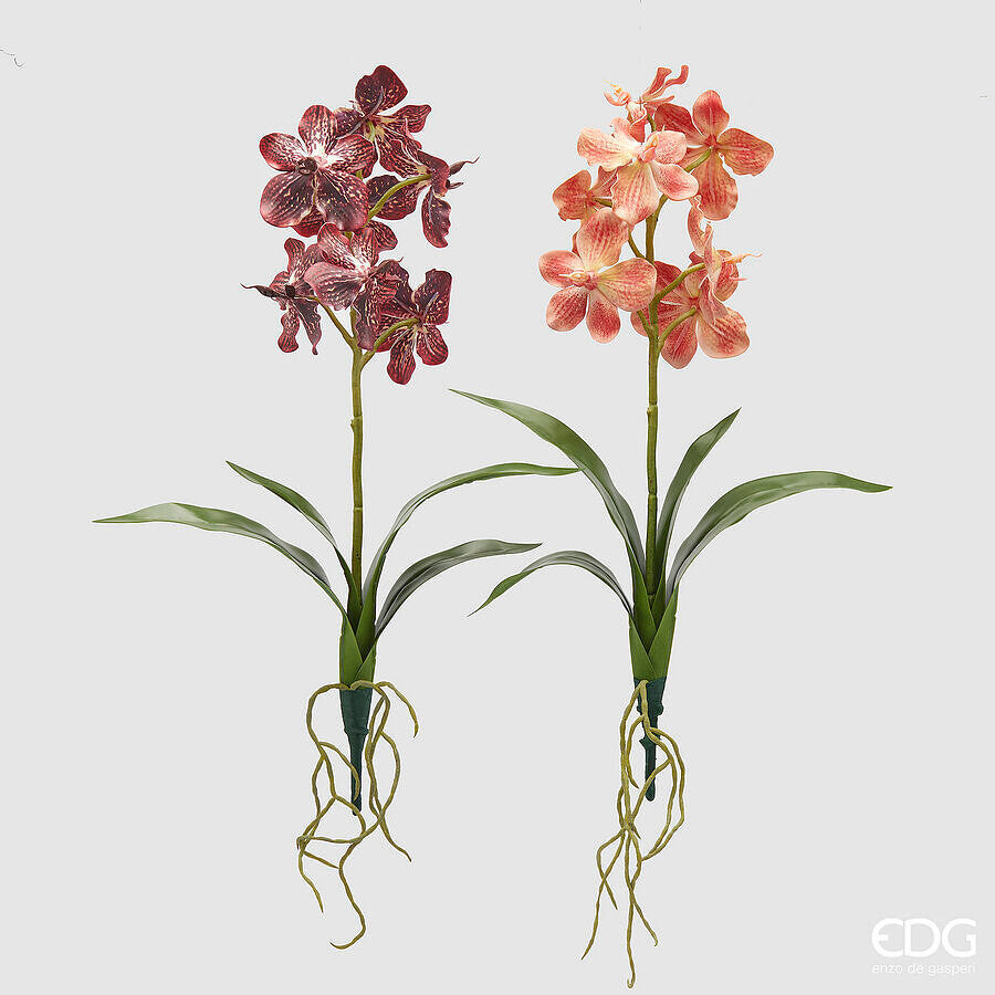 EDG Enzo De Gasperi EDG Enzo De Gasperi Cespuglio Orchidea Vanda Artificiale con