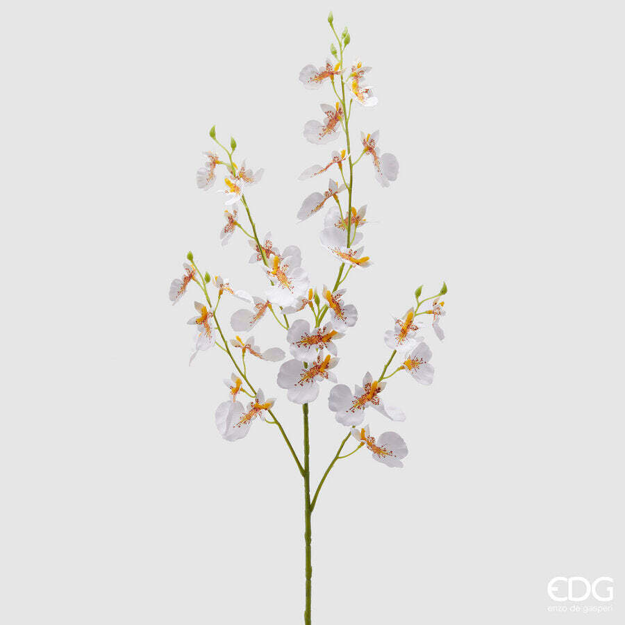 EDG Enzo De Gasperi EDG Enzo De Gasperi Orchidea Oncidium Ramo x4 Artificiale H