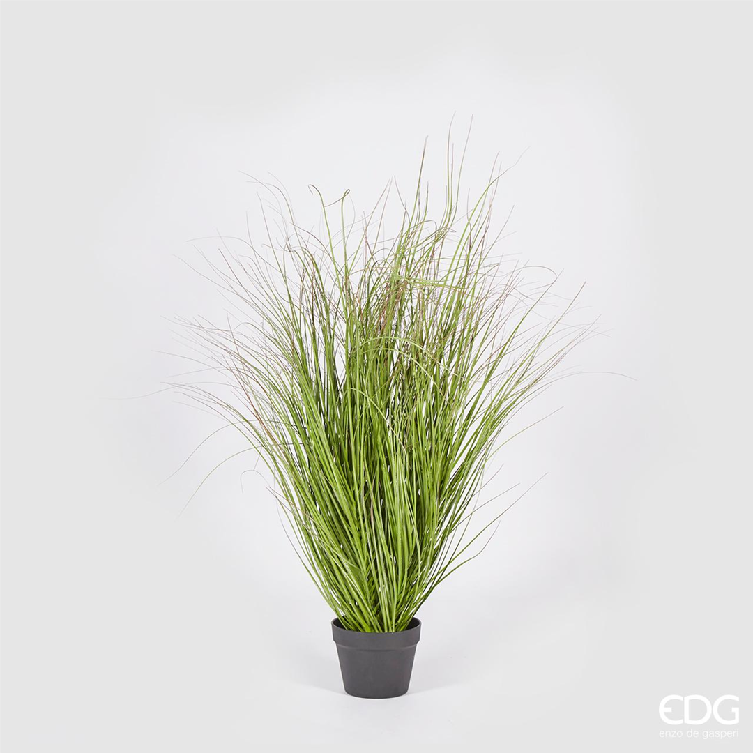 Festuca Con Vaso H122cm | Edg - Enzo De Gasperi