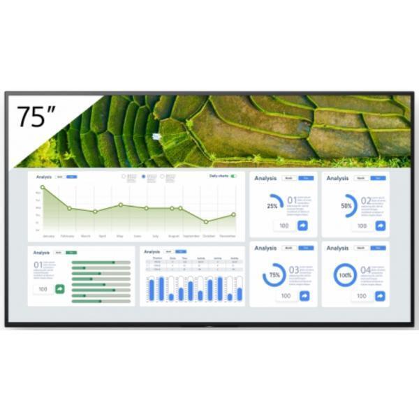 Sony Bravia Professional Displays FW-75BZ30L - 189 cm (75&quot;)
