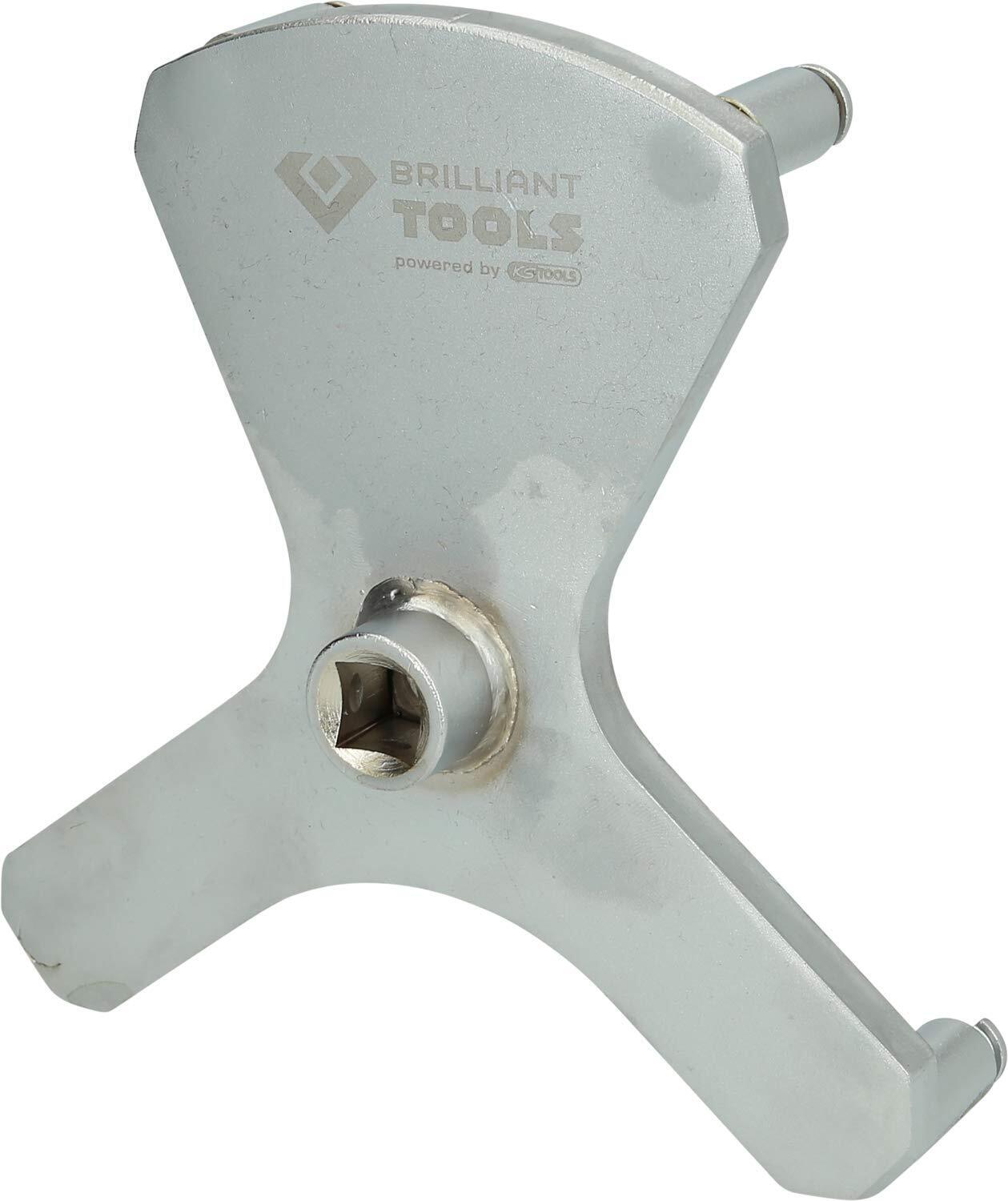 Brilliant Tools Llave de aforador para BMW (l0i)