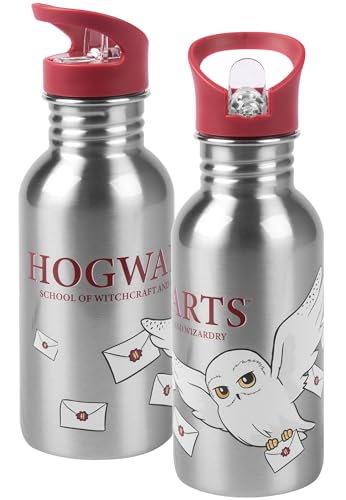 United Labels Harry Potter, Borraccia In Acciaio Inox, Hedwig Hogwarts, In Metallo, Con Cannuccia, 500 Ml
