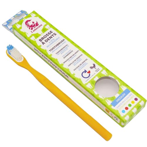 Lamazuna Testina Intercambiabile Klick It | Made In France | In Materia Prima Vegetale | Con Testa Intercambiabile | Medio/Medio | 1 Pezzo