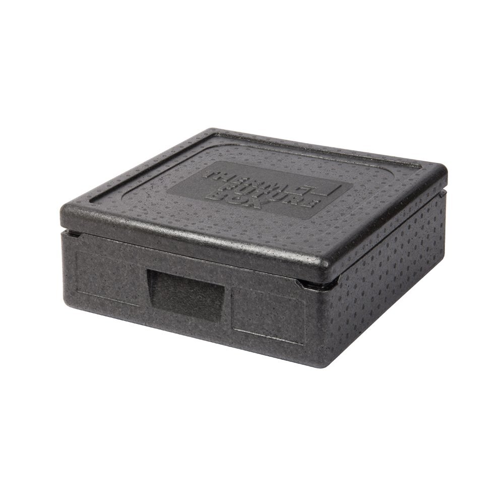 Thermo Future Box Quadratische Thermobx Kühlbox Trasporto e Contenitore (v7Z)