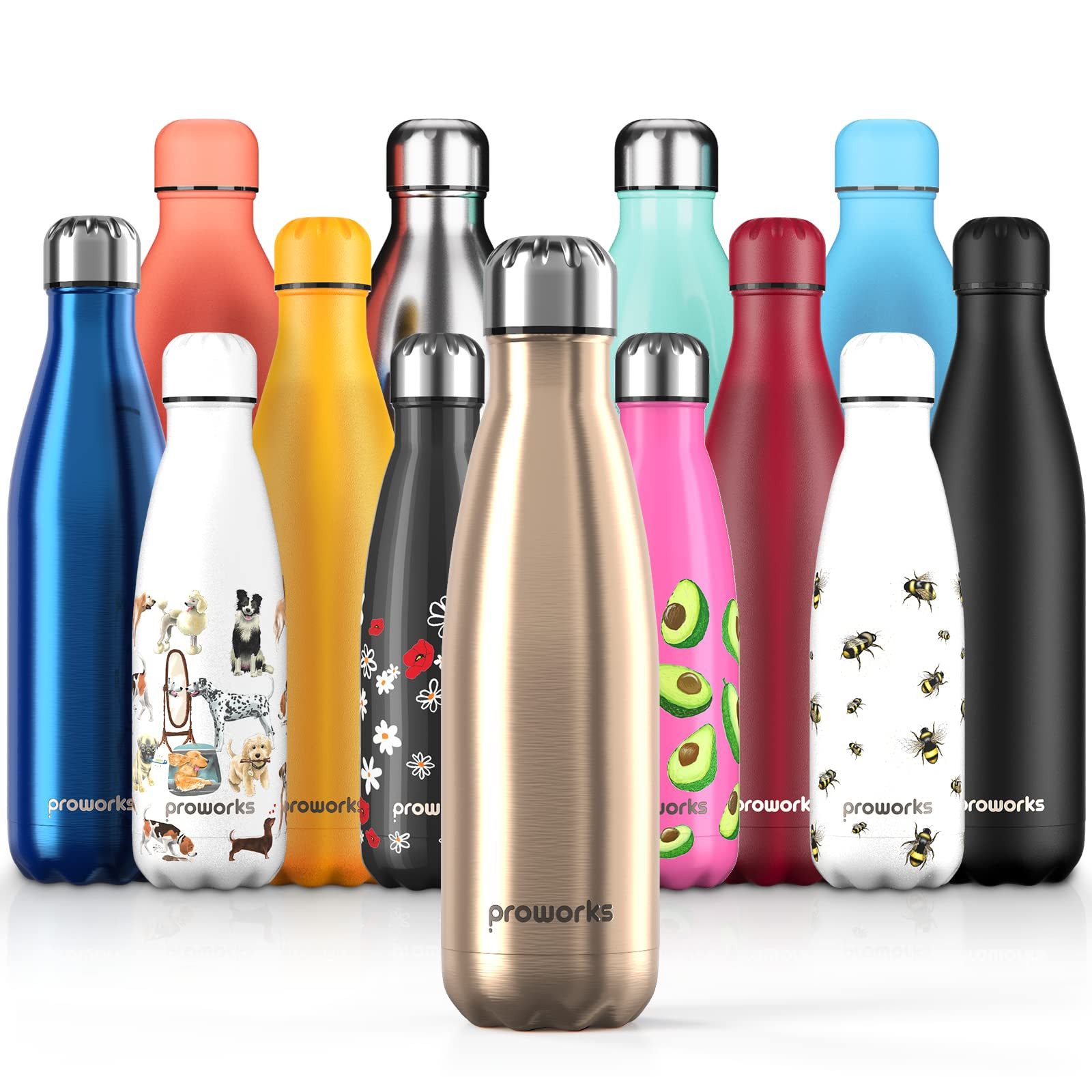 Proworks Bottiglia Acqua in Acciaio Inox, Senza BPA Vuoto Isolato (x5Z)