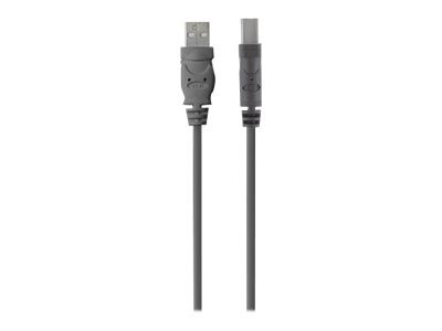 Belkin Premium Printer Cable USB cable USB Type B (M) to USB F3U154BT4.8M