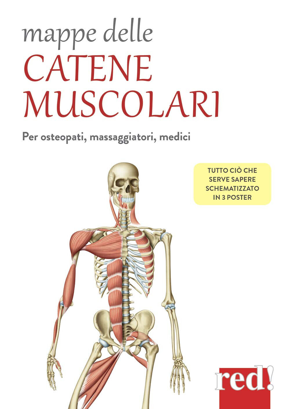 Mappe delle catene muscolari. Per osteopati, massaggiatori, medici - AA.VV.