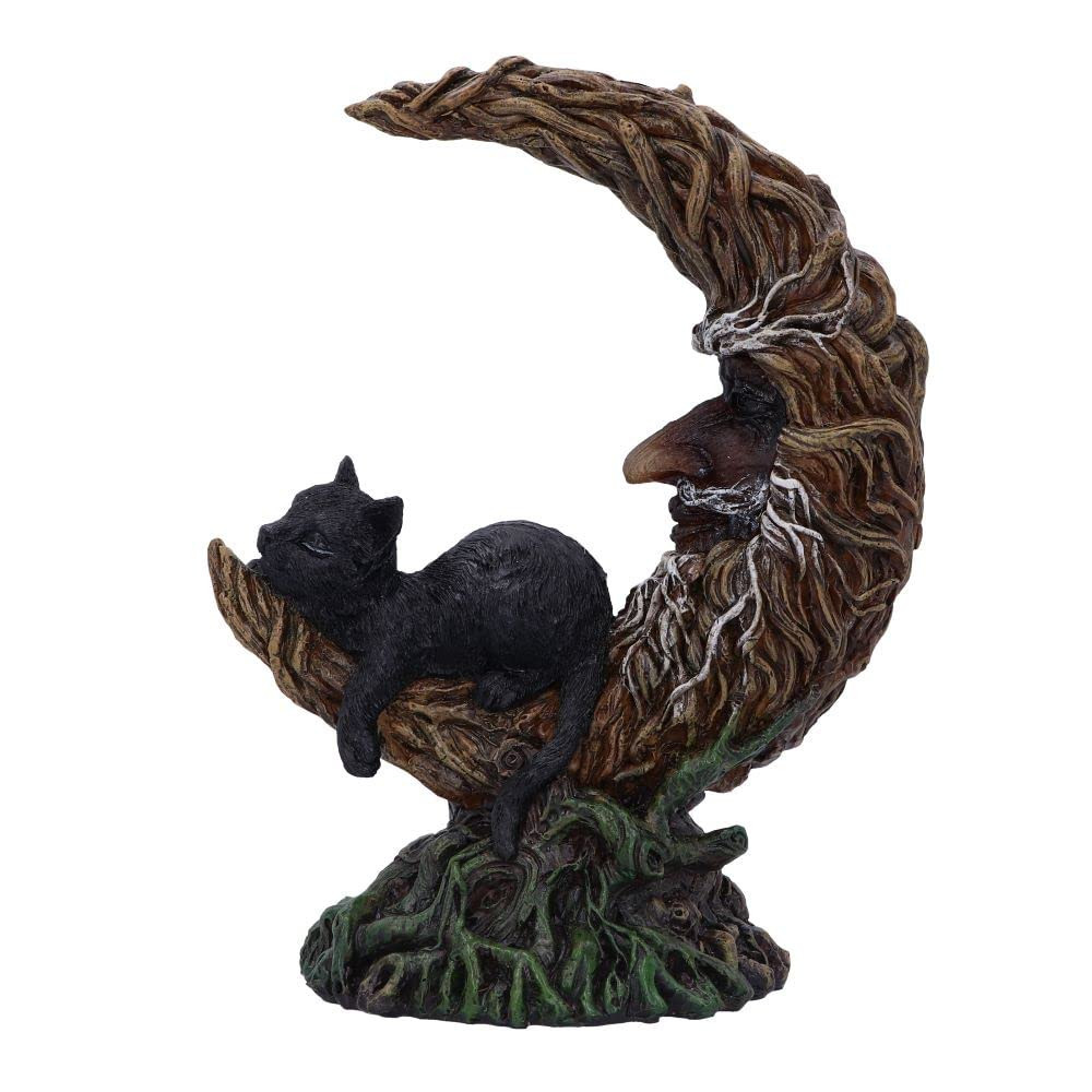 Nemesis Now Familiar Slumber 21.2cm, Brown