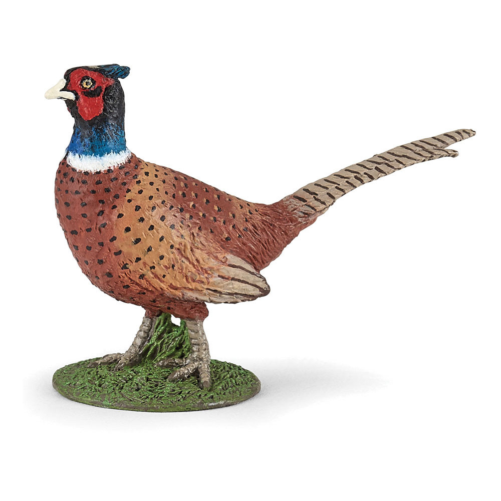 PAPO Wild Animal Kingdom Pheasant Toy Figure, Brown (50263)