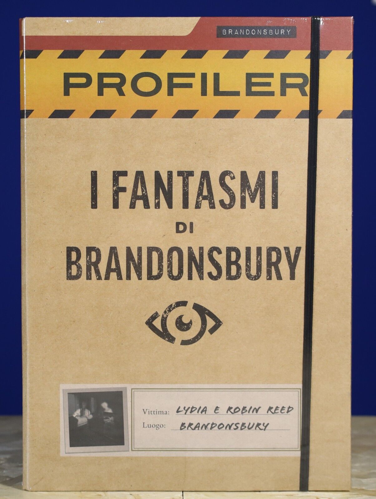 Profiler - I fantasmi di Brandonsbury - MS Edizioni