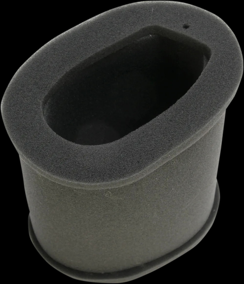 Filtro aria dialta qualità  HIFLOFILTRO HFA2202