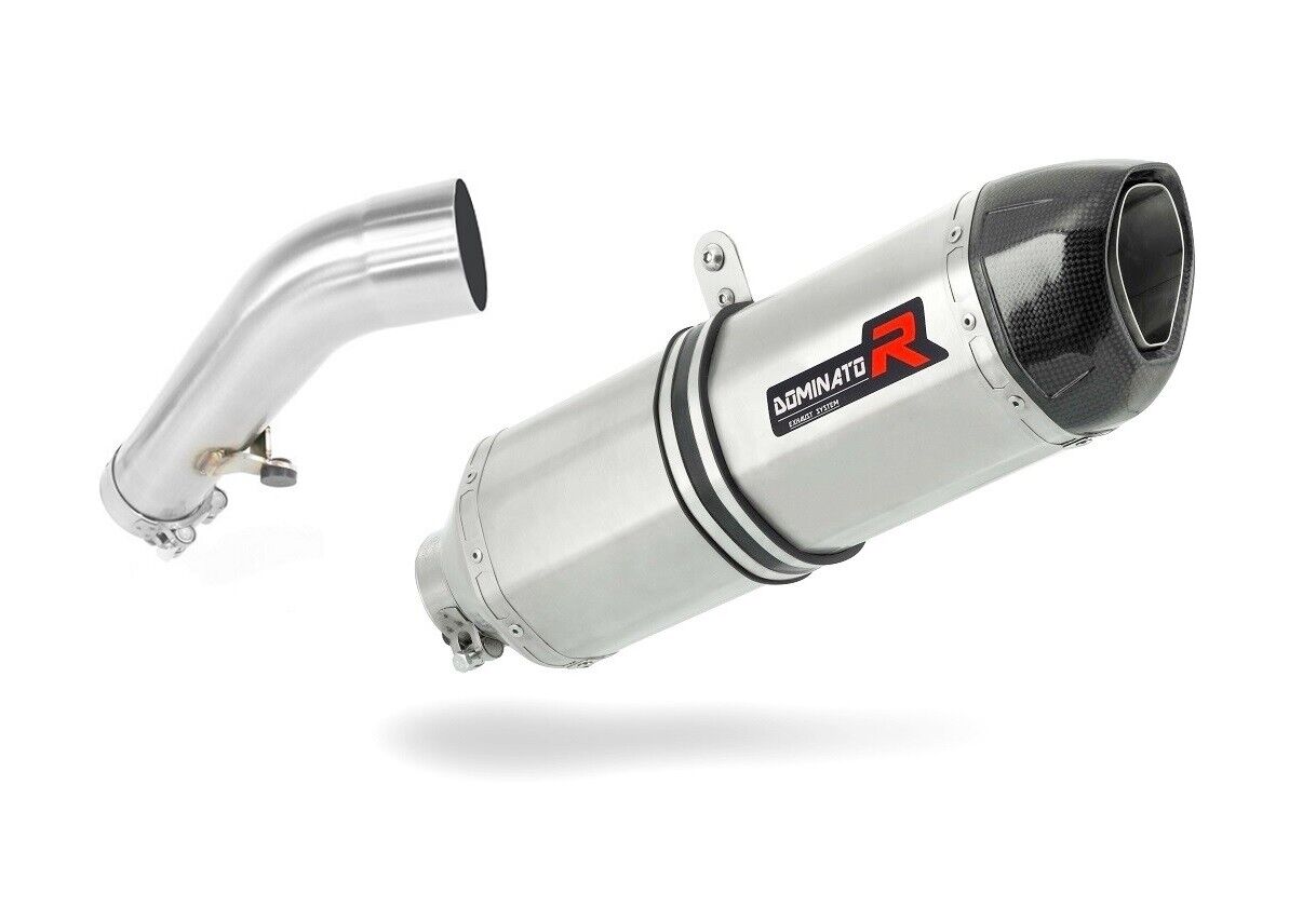 R1200R 2006 - 2009 Terminale di Scarico Silenziatore HP1 DOMINATOR