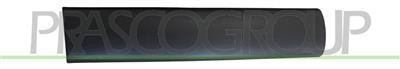 Modanatura Porta Posteriore Sinistra CITROEN BERLINGO 1996-2002 SINISTRO 8546H2