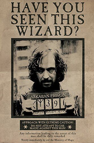 Harry Potter Wanted Sirius Black - Have You Seen This Wizard? Maxi Poster 61x91