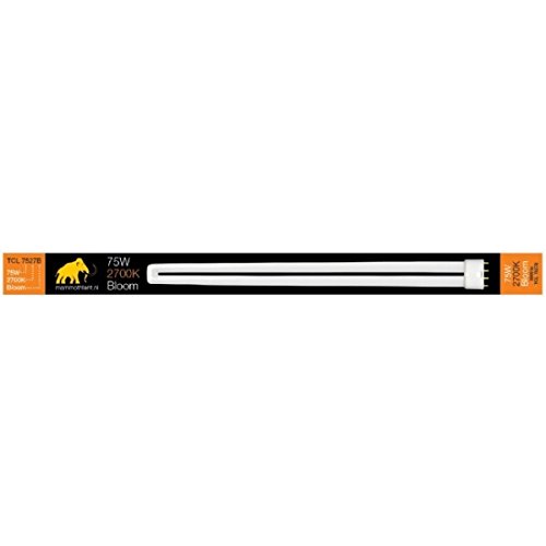 Mammoth Neon Tcl 75W 2700K - Fioritura