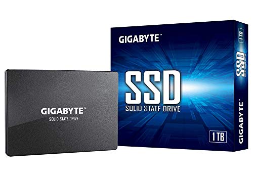 Gigabyte Gp-Gstfs31100Tntd Ssd 1Tb Sata3