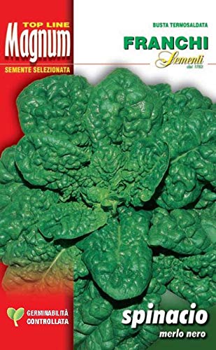 Busta Magnum Semi Di Spinacio Merlo Nero Orto Giardino Semi