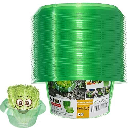 Vdyxew 30 Pezzi Di Collari Per Lumache, Anelli Per Insalata Per La Difesa Di Lumache, Efficace Protezione Contro Le Lumache Per Le Vostre Piante Da In
