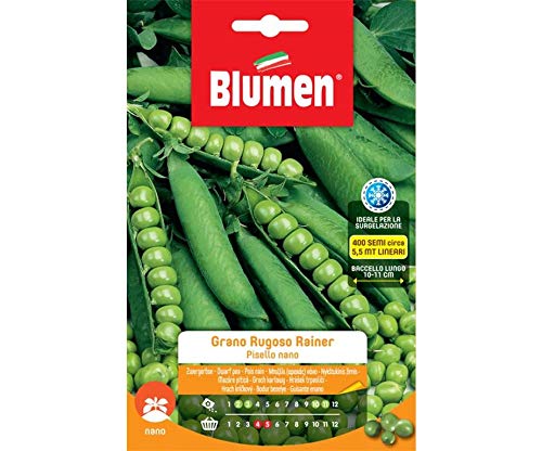 Blumen Sementi, Pisello Nano Grano Rugoso Rainer