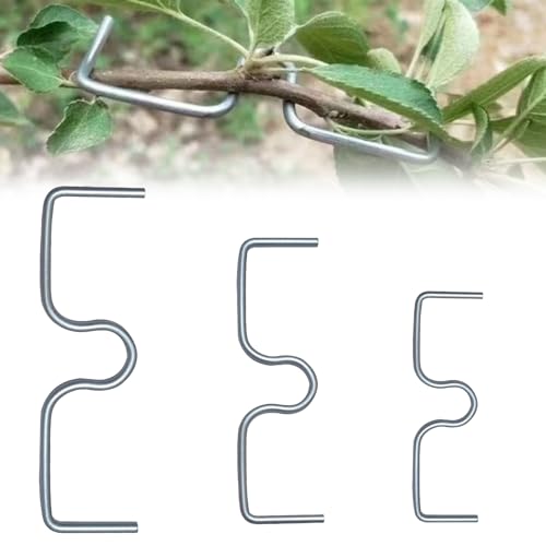 Coffee Life Plus® 30Pcs Estrattore Di Rami Di Un Albero,Supporto Estrattore Per Rami Da Frutto,Per Arti Bonsai Strumento Di Modellazione Estrattore Di