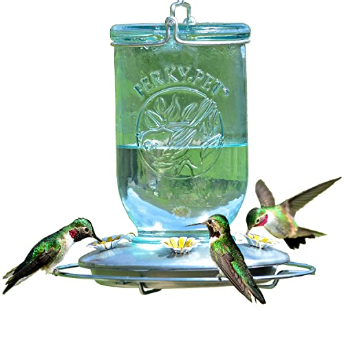 Perky-Pet 785-1Sr Mason Jar - Mangiatoia In Vetro Vintage Per Colibrì, Decorazione Da Giardino Per Esterni, Capacità 907 G