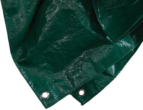 Siena Garden 671083 - Telone Protettivo In Polietilene, 5 X 6 M, Colore: Verde