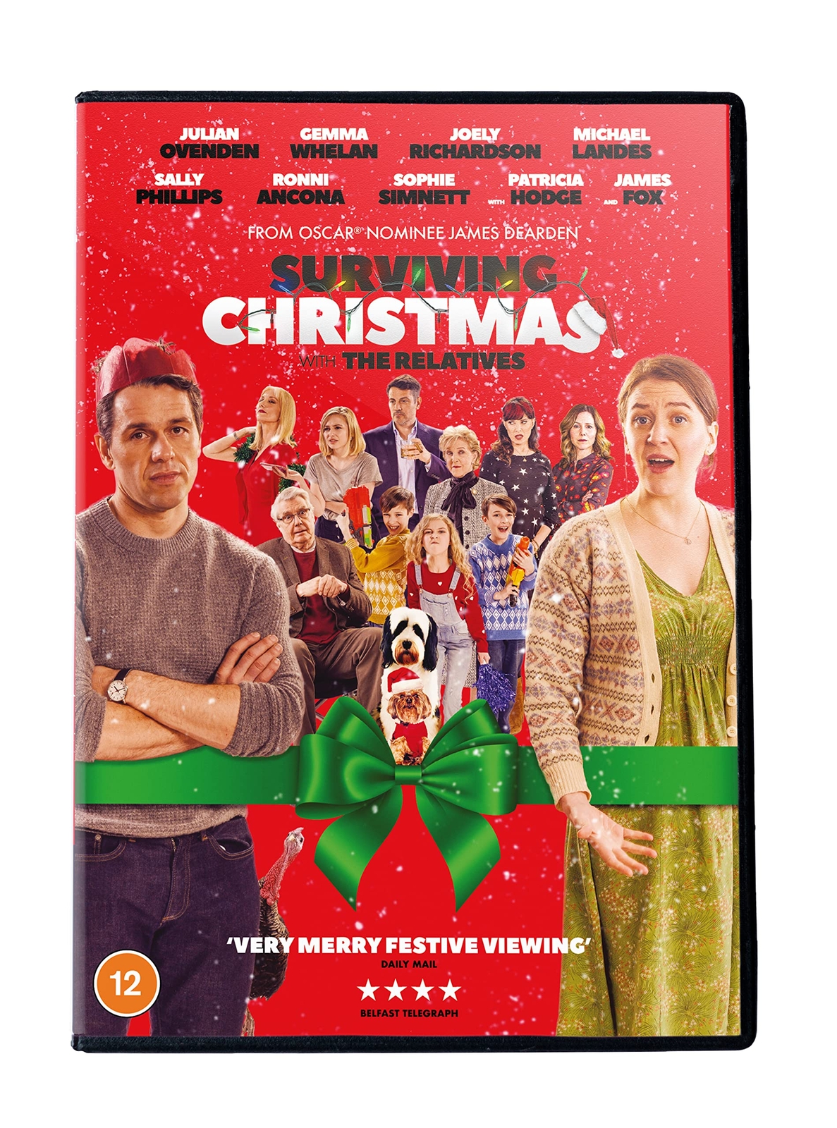 Surviving Christmas (Re-Release) (DVD)