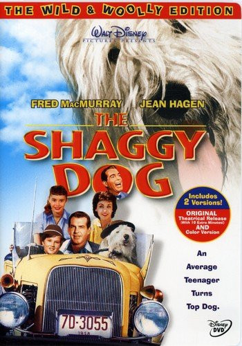 The Shaggy Dog (Wild & Woolly Edition) (DVD)
