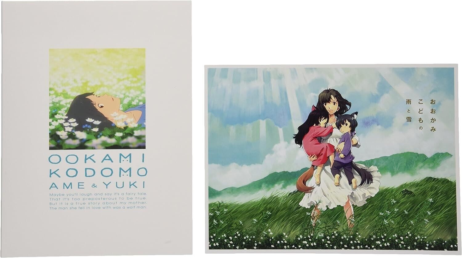 Wolf Children Ame e Yuki Ookami Kodomo no Ame to Yuki DVD Region 2 dal Giappone