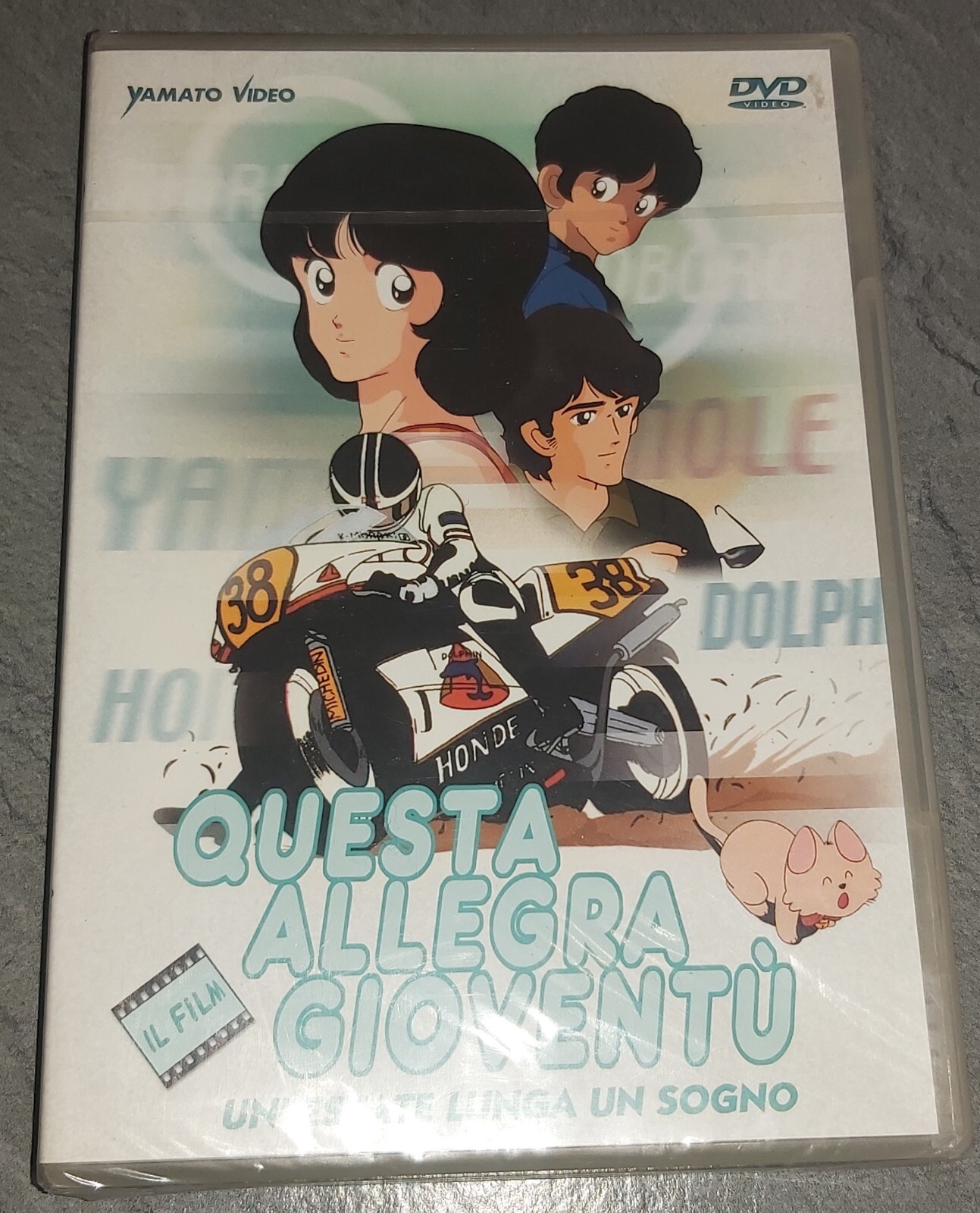 QUESTA ALLEGRA GIOVENTÙ UN'ESTATE LUNGA UN SOGNO DVD YAMATO VIDEO NUOVO SIGILLAT