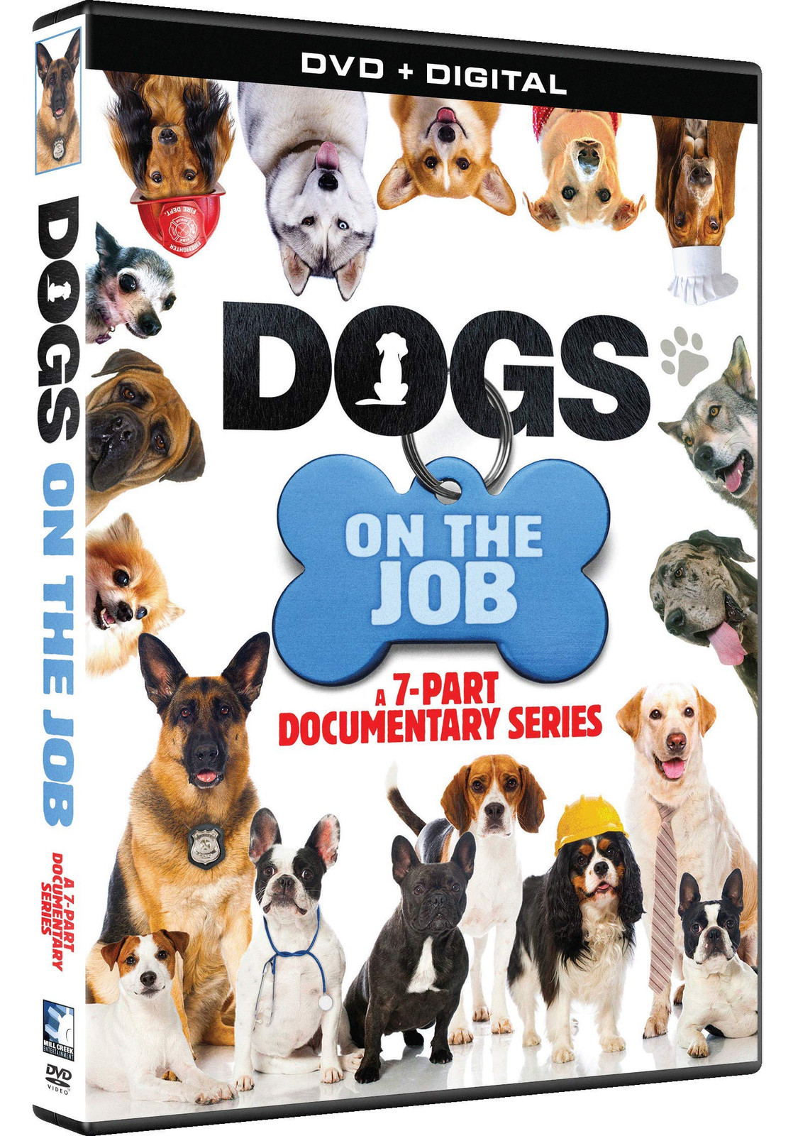 Dogs on the Job! - 7-Part Documentary Series (DVD) Service Dogs Assistance Dogs