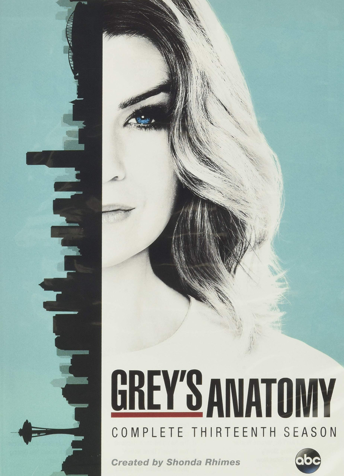 Grey's Anatomy: The Complete Thirteenth Season (DVD)