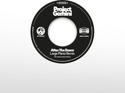 After The Dawn (Large Plants Remix) / Darkness Rising