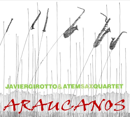 Girotto Javier Edgardo Araucanos
