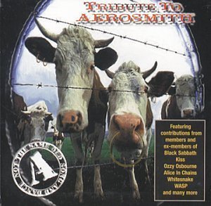 Tribute To Aerosmith