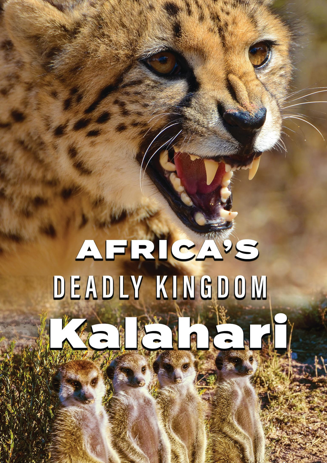 Africa's Deadly Kingdom: Kalahari (DVD) Pal Aron