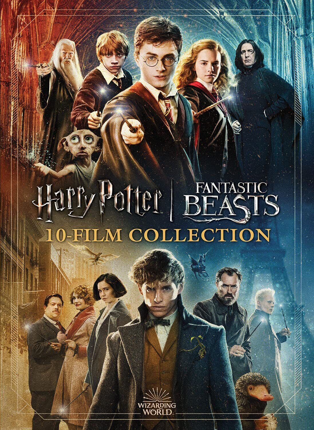 Wizarding World 10-Film Collection - 20th Anniversary (DVD)