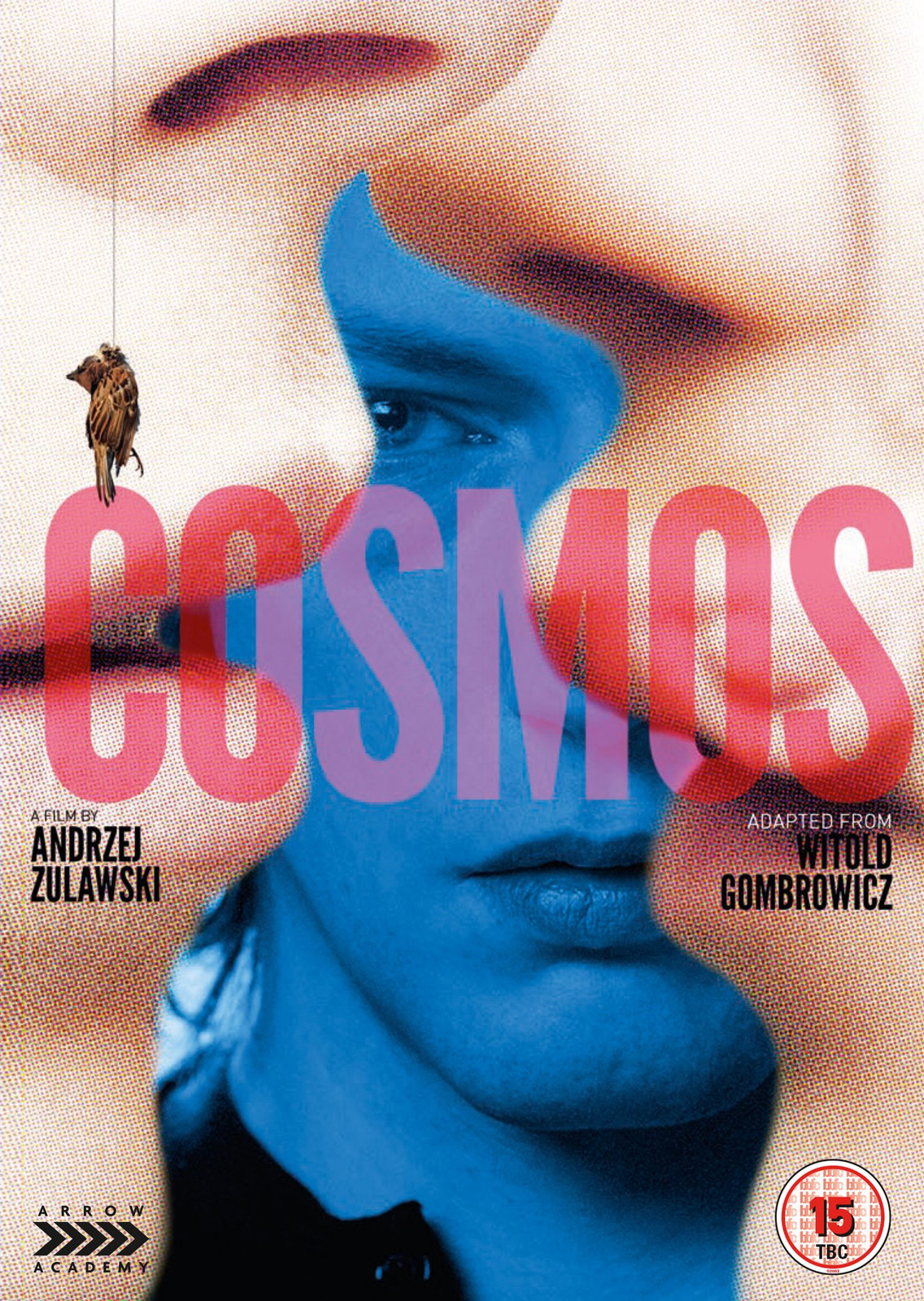 Cosmos (DVD) Sabine Azéma Jean-François Balmer Jonathan Genet