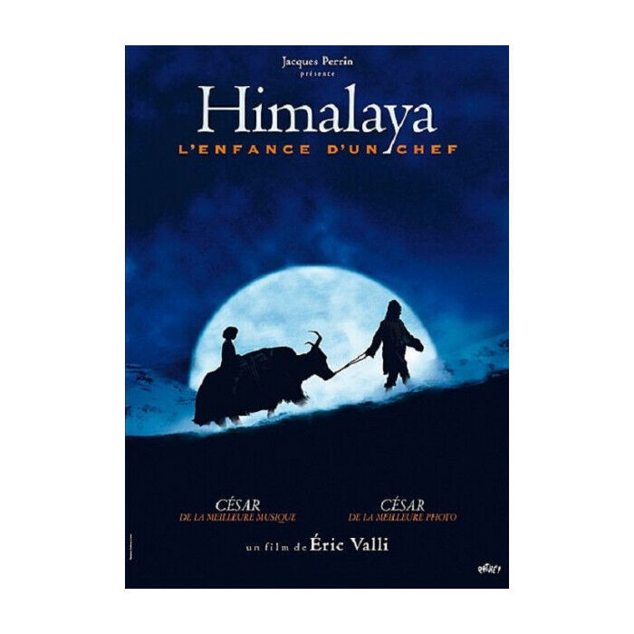 Himalaya BAMBINI Un Chef DVD Nuova