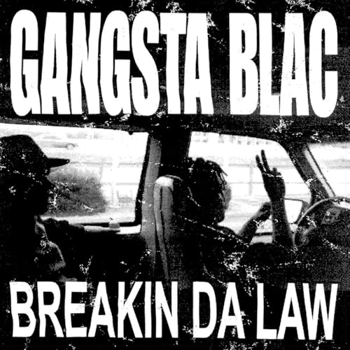 Breakin Da Law [Vinyl]