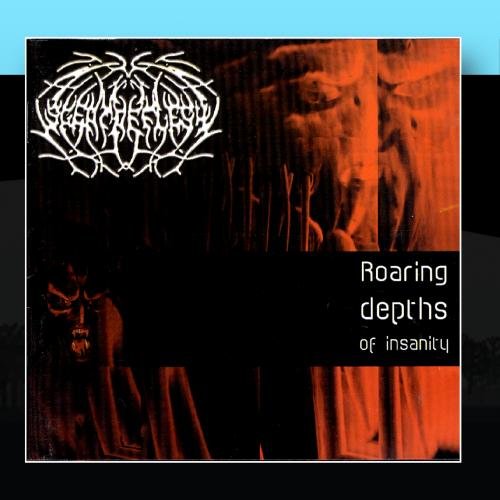 Roaring Depths Of Insanity