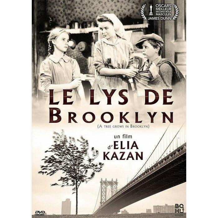 Il Giglio Di Brooklyn DVD NUOVO