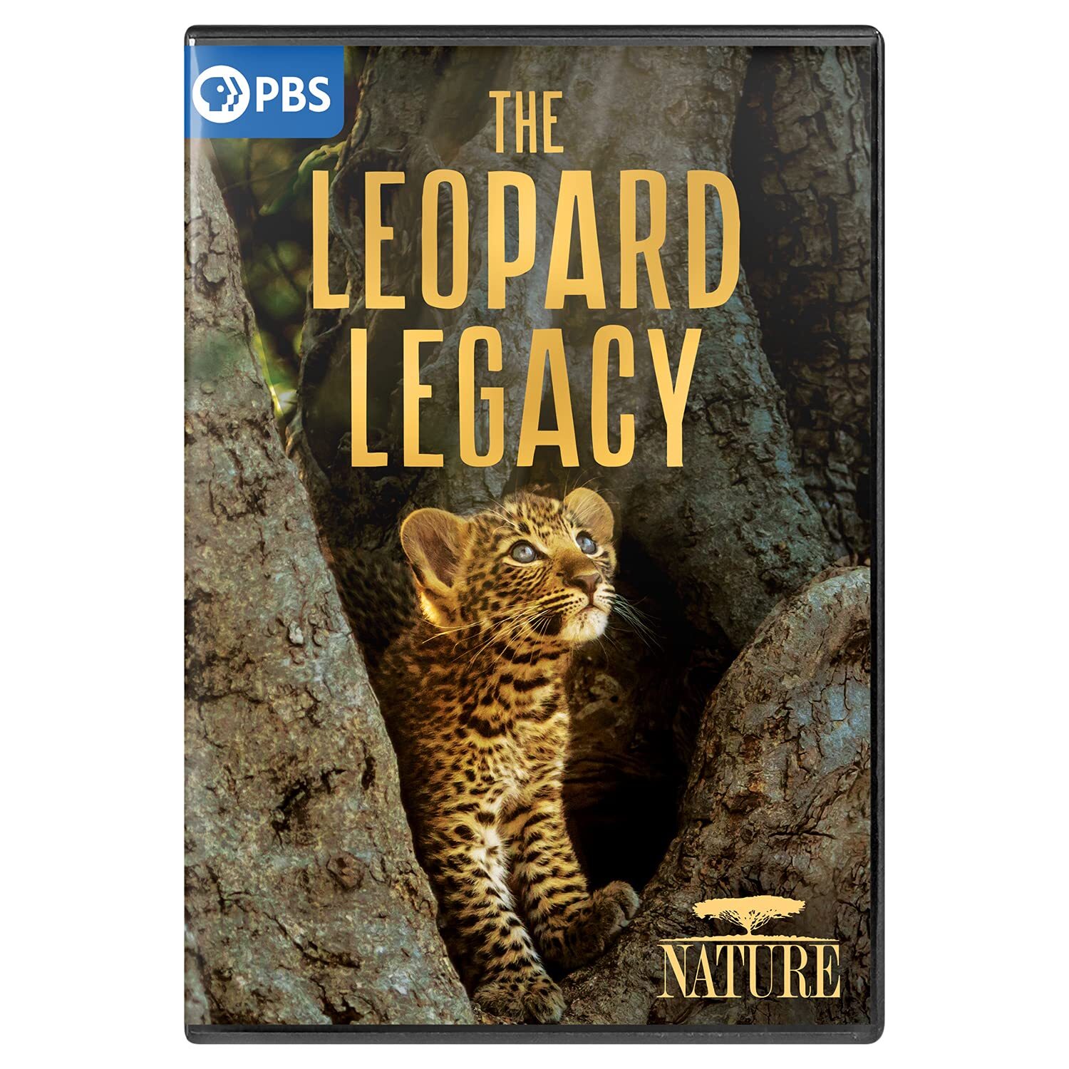 Nature: The Leopard Legacy (DVD)