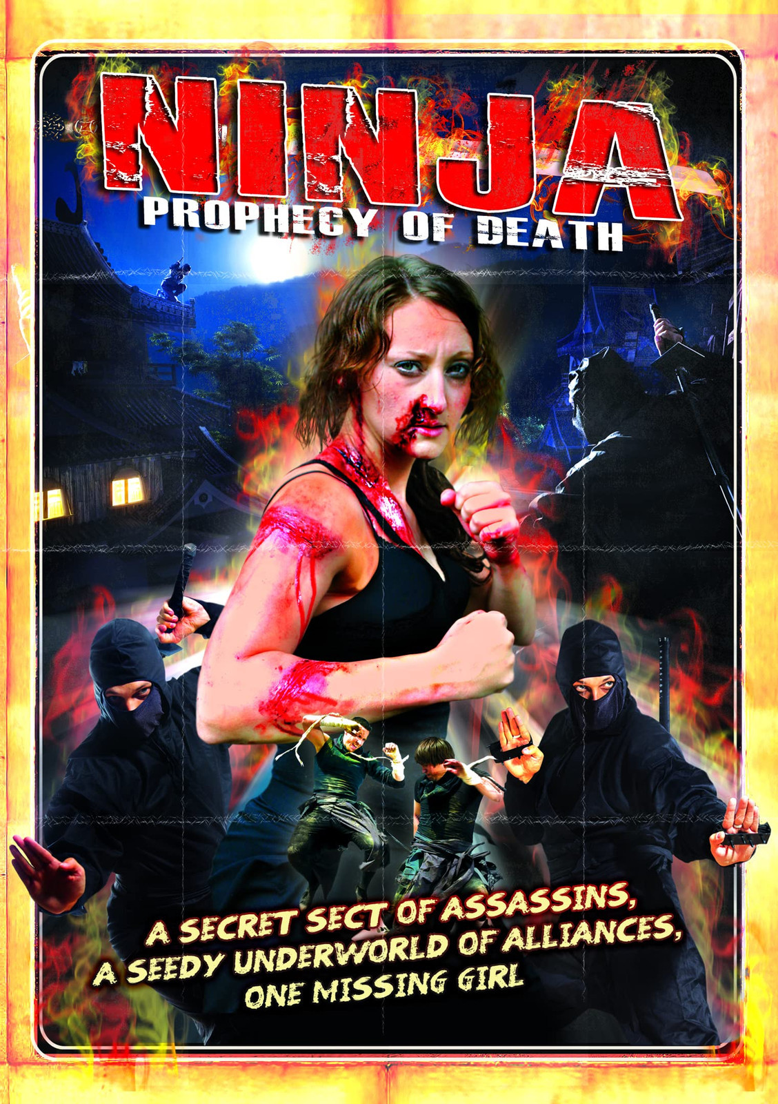Ninja: Prophecy Of Death (DVD) Renee Porada Lanny Poffo Darian Caine Sara Brooks