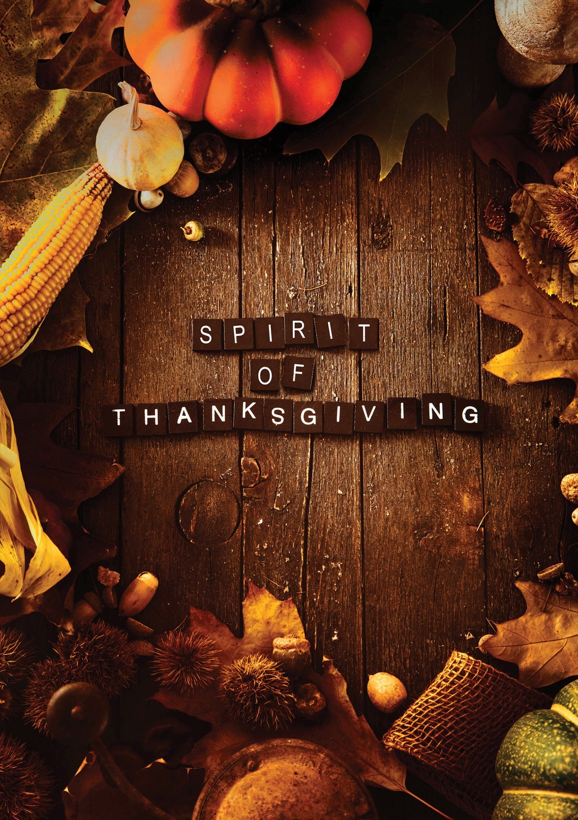 Spirit Of Thanksgiving, The (DVD) Various