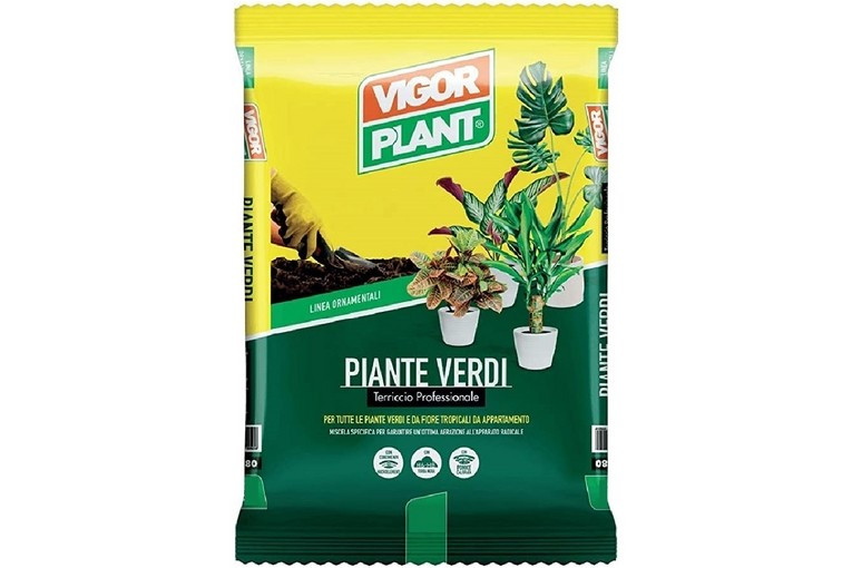 Vigorplant terriccio per piante Verdi 20 lt