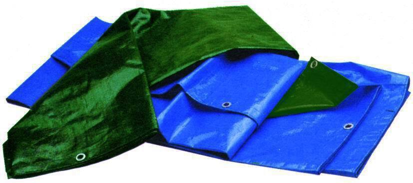 TELONE ANTISTRAPPO PESANTI BICOLOR BLU/VERDE    6X10  M