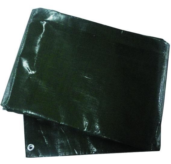 TELONE ANTISTRAPPO EXTRA-PES VERDE    6X10  M